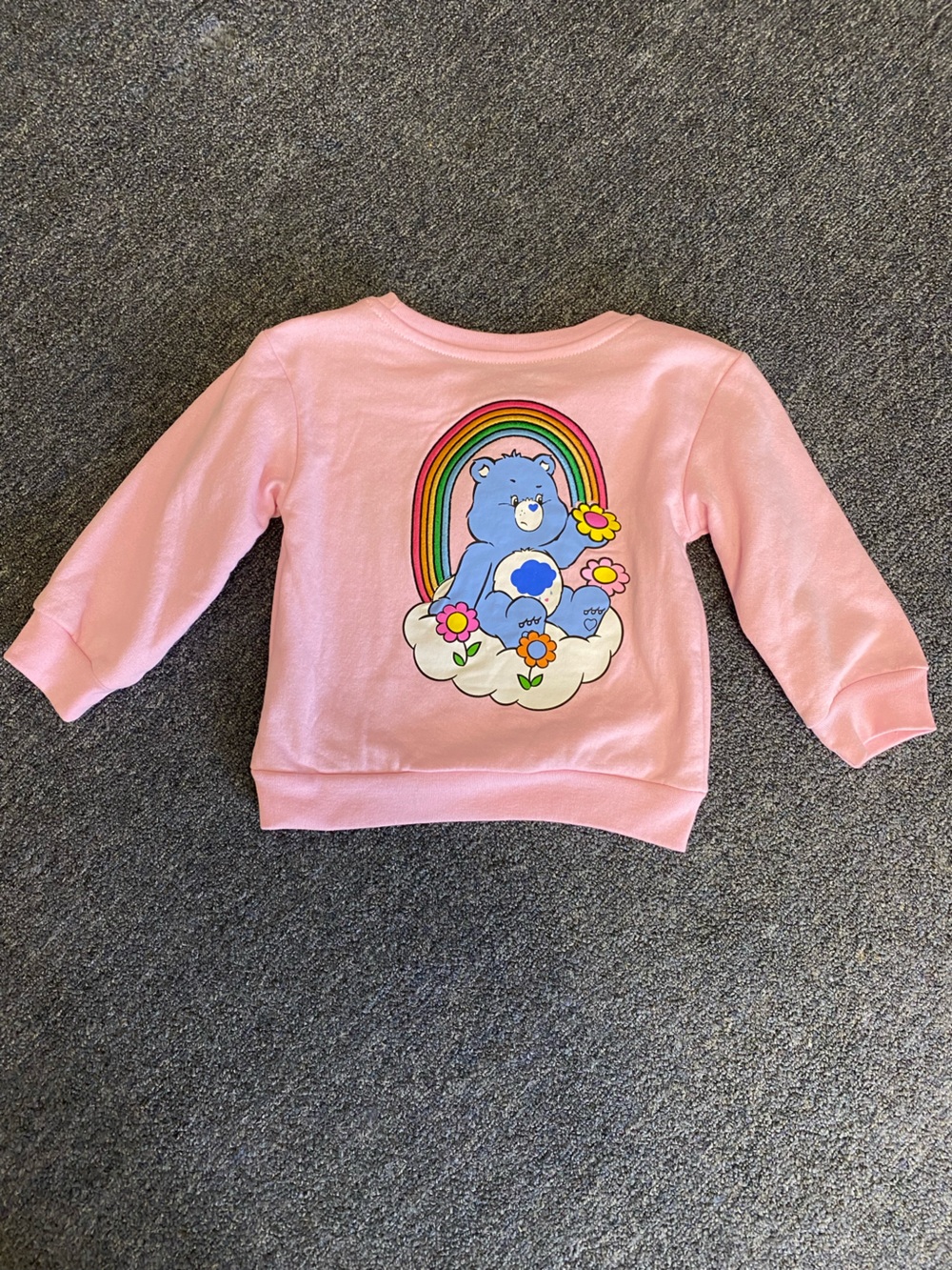 Freeze Pink Sweatshirt with Blue Care Bear and Rainbow Graphic